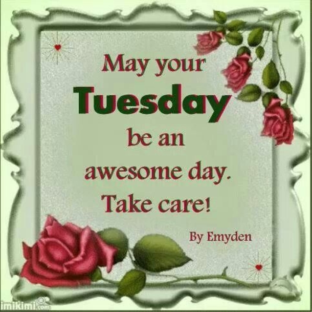 10 Really Great Tuesday Quotes & Sayings - picture 3
