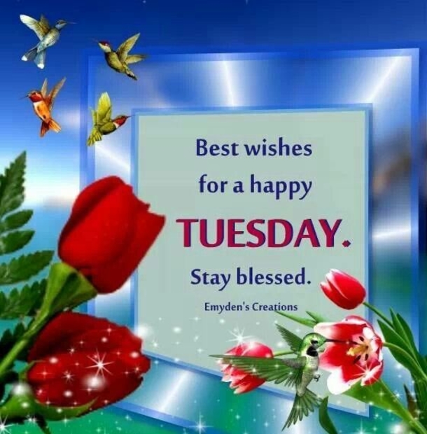 10 Really Great Tuesday Quotes & Sayings - picture 4