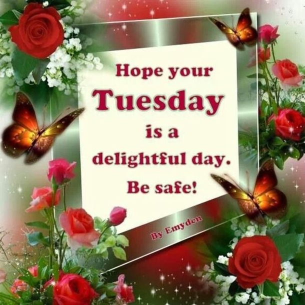 10 Really Great Tuesday Quotes & Sayings - picture 5