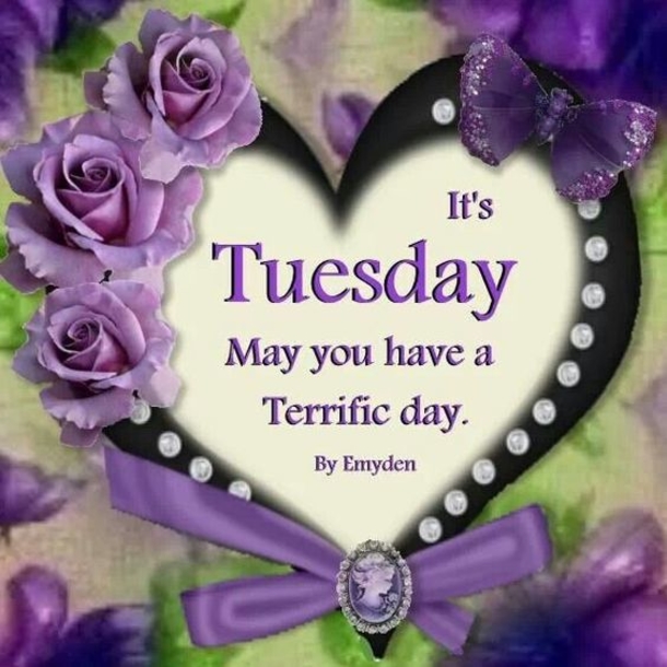 10 Really Great Tuesday Quotes & Sayings - picture 8