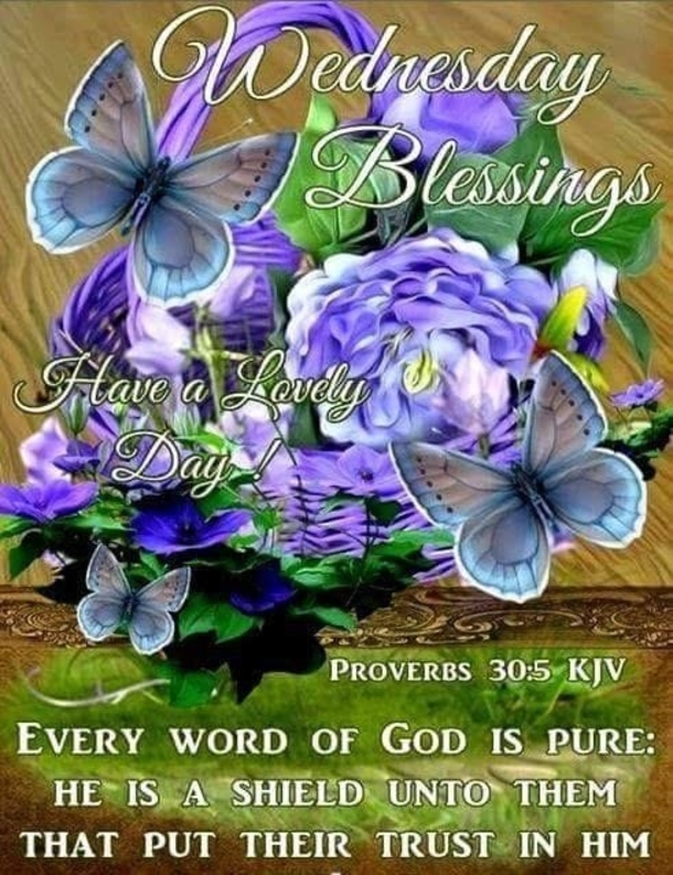 10 Really Lovely Wednesday Blessings - picture 2