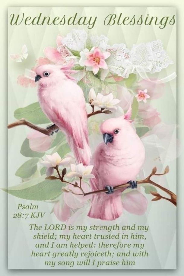 10 Really Lovely Wednesday Blessings - picture 5