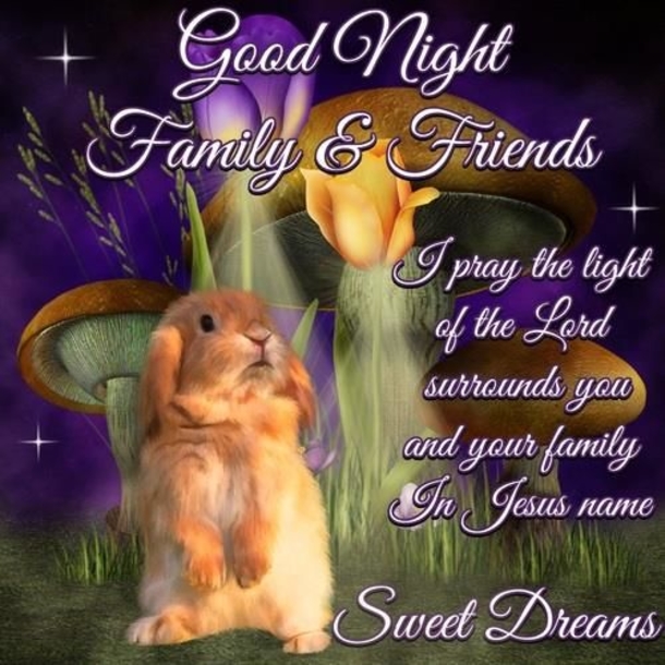 10 Really Precious Good Night Quotes & Sayings - picture 7