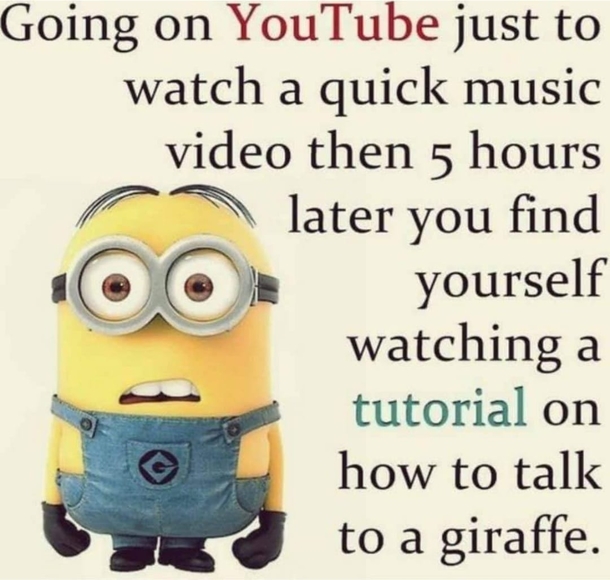 10 Relatable Minion Quotes That Apply To Everyday Life - picture 10