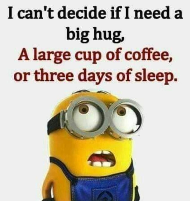 10 Relatable Minion Quotes That Apply To Everyday Life - picture 5
