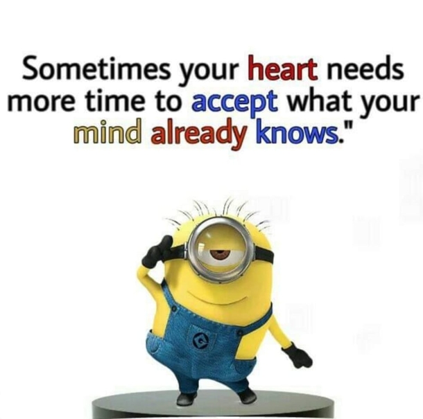 10 Relatable Minion Quotes That Apply To Everyday Life - picture 7