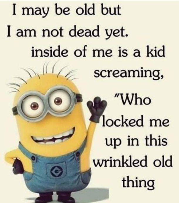 10 Relatable Minion Quotes That Apply To Everyday Life - picture 8