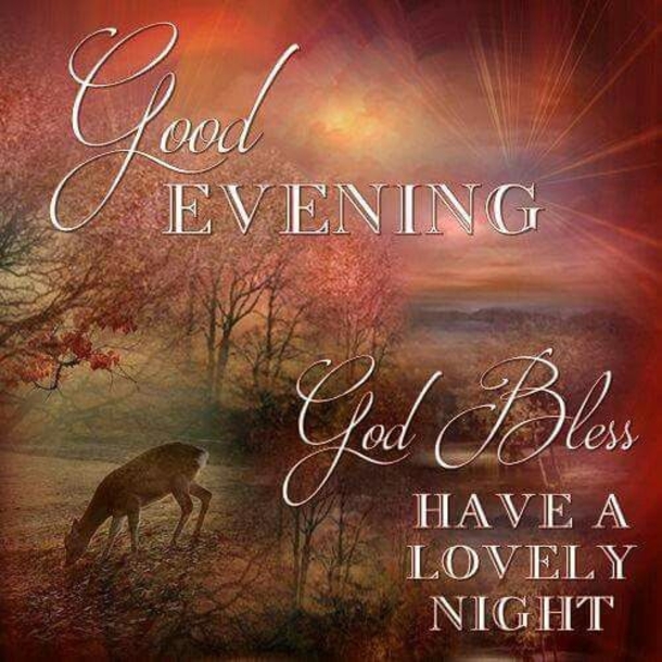 10 Relaxing And Peaceful Good Night Quotes - picture 6