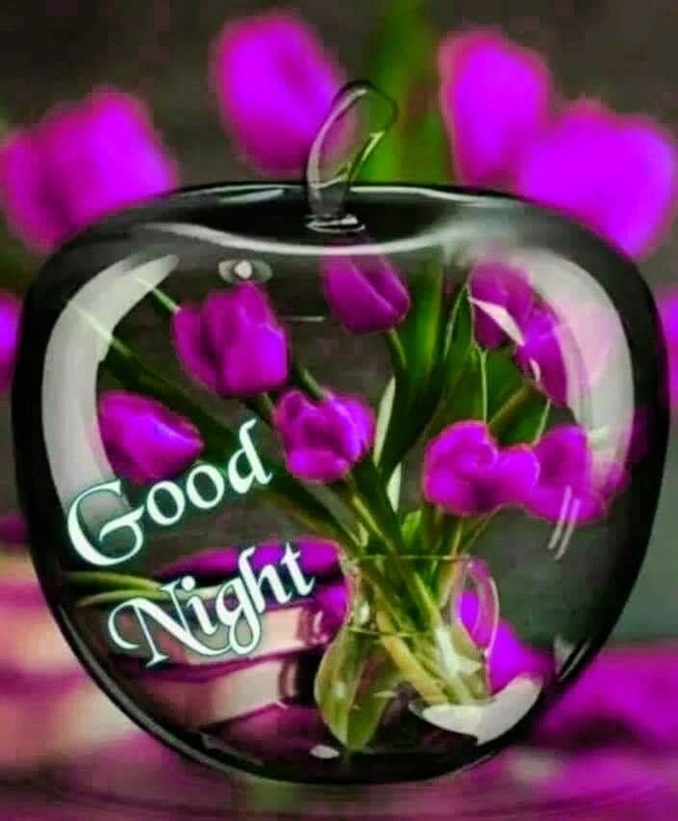 10+ Relaxing Good Night Quotes For A Beautiful Night - picture 2