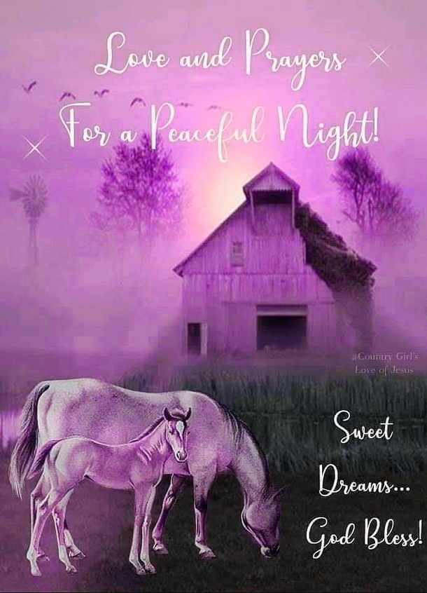 10+ Relaxing Good Night Quotes For A Beautiful Night - picture 6