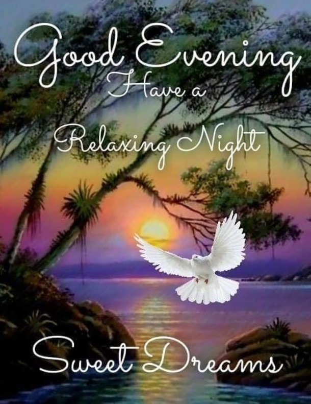 10+ Relaxing Good Night Quotes For A Beautiful Night - picture 8