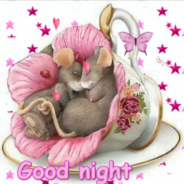 10+ Relaxing Good Night Quotes For A Beautiful Night - picture 9