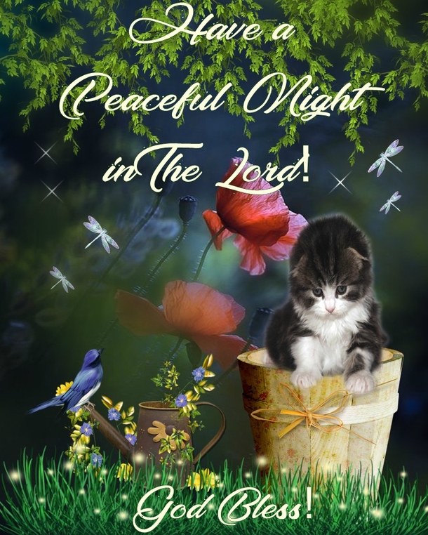 10+ Restful And Peaceful Good Night Blessings For You - picture 3