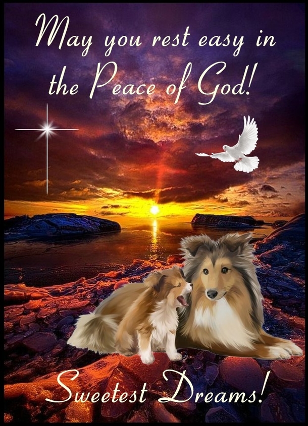 10+ Restful And Peaceful Good Night Blessings For You - picture 7