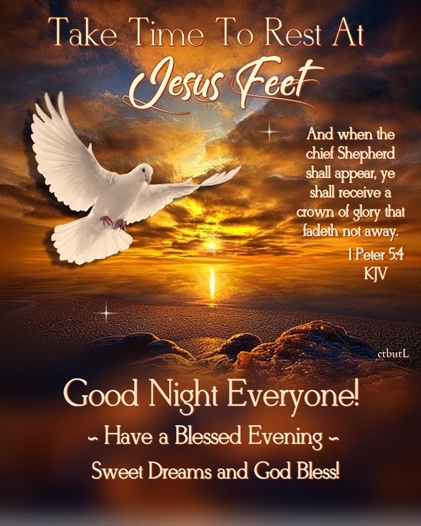 10 Restful And Peaceful Good Night Quotes And Sayings - picture 7