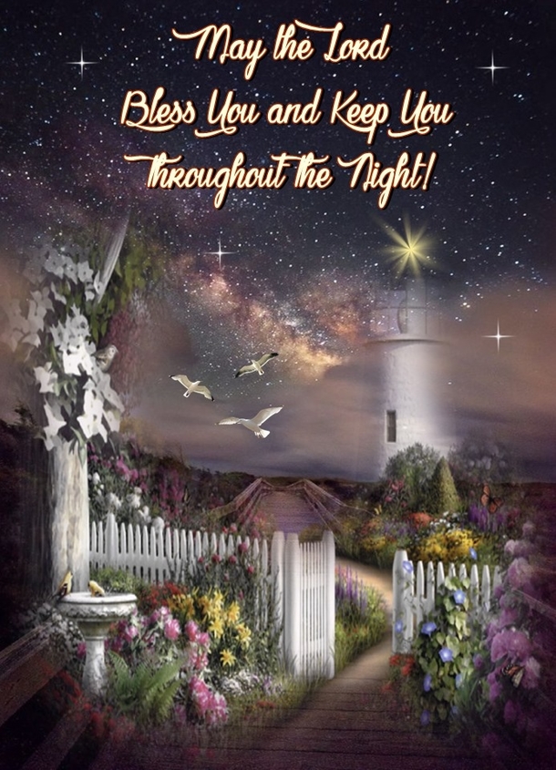 10 Restful And Peaceful Good Night Quotes And Sayings - picture 9