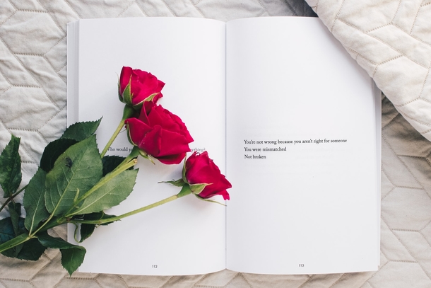 10 Romance Roses For Couples In Love - picture 6