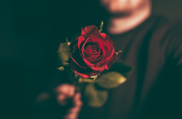 10 Romance Roses For Couples In Love - picture 7