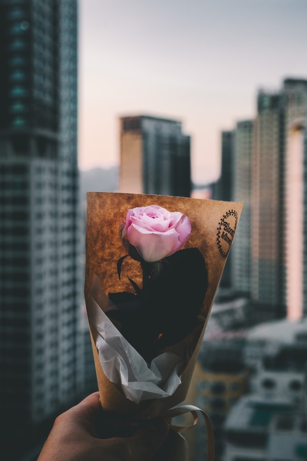 10 Romance Roses For Couples In Love - picture 8
