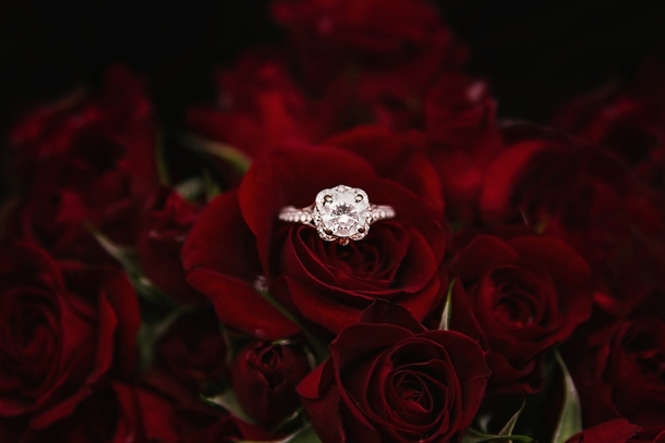 10 Romance Roses For Couples In Love - picture 9