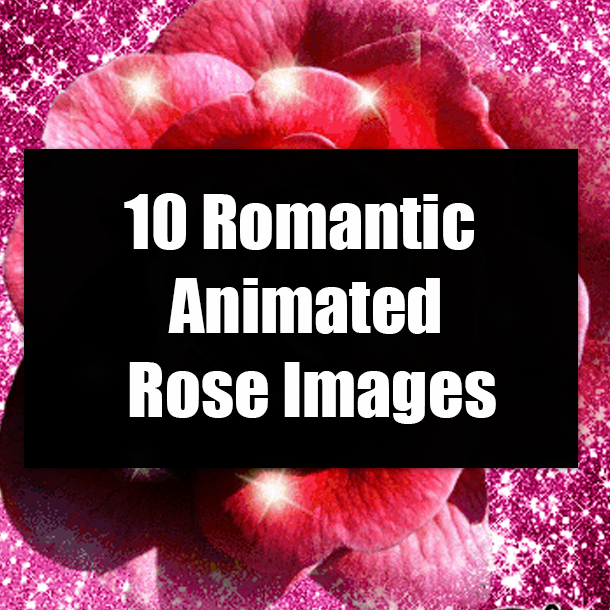 10 Romantic Animated Rose Images