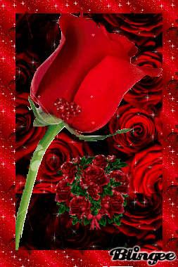 10 Romantic Animated Rose Images - picture 2