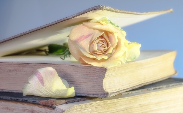 10 Romantic Images About Love And Couples - picture 2