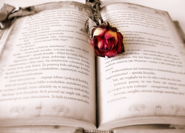 10 Romantic Images About Love And Couples - picture 5