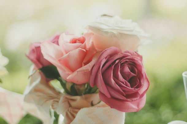 10 Romantic Rose Photography Images - picture 11