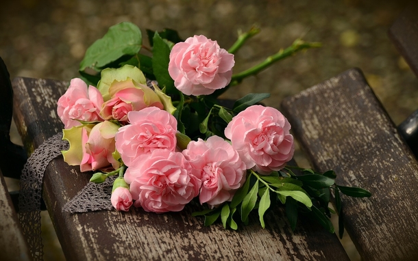 10 Romantic Rose Photography Images - picture 4