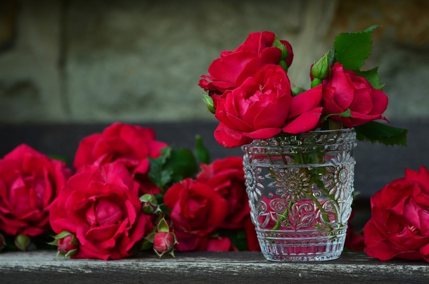 10 Romantic Rose Photography Images - picture 7