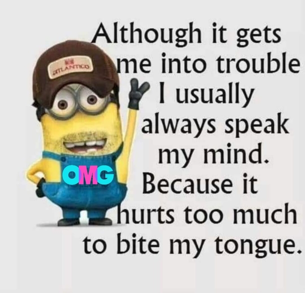 10 Sarcastically Funny Minion Quotes And Sayings - picture 10