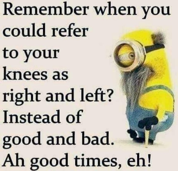 10 Sarcastically Funny Minion Quotes And Sayings - picture 11