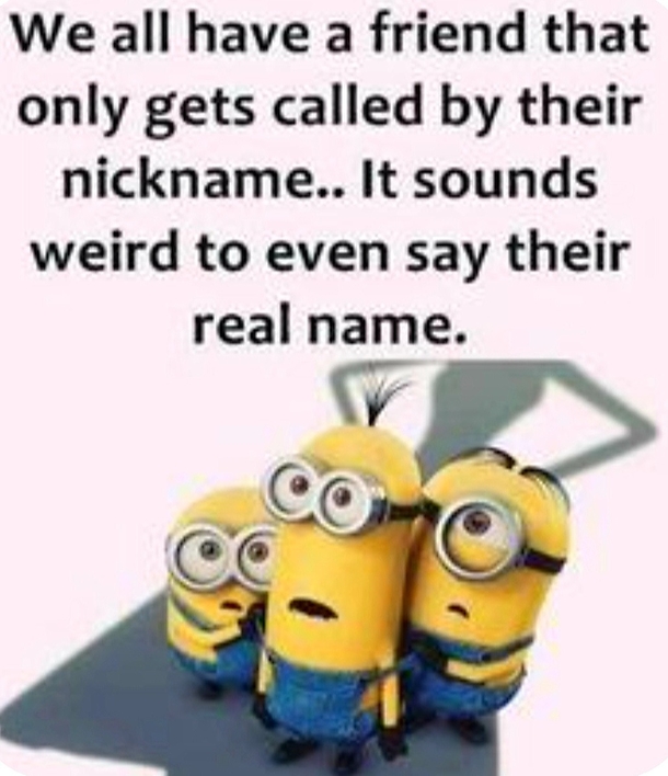 10 Sarcastically Funny Minion Quotes And Sayings - picture 3