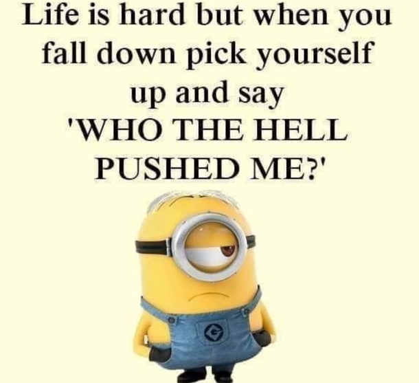 10 Sarcastically Funny Minion Quotes And Sayings - picture 4