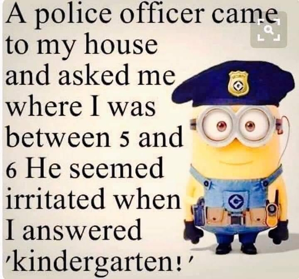 10 Sarcastically Funny Minion Quotes And Sayings - picture 5