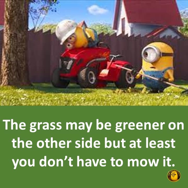 10 Sarcastically Funny Minion Quotes And Sayings - picture 6