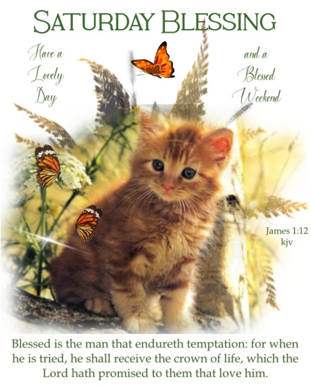 10 Saturday Blessings & Prayers For Family And Friends - picture 11