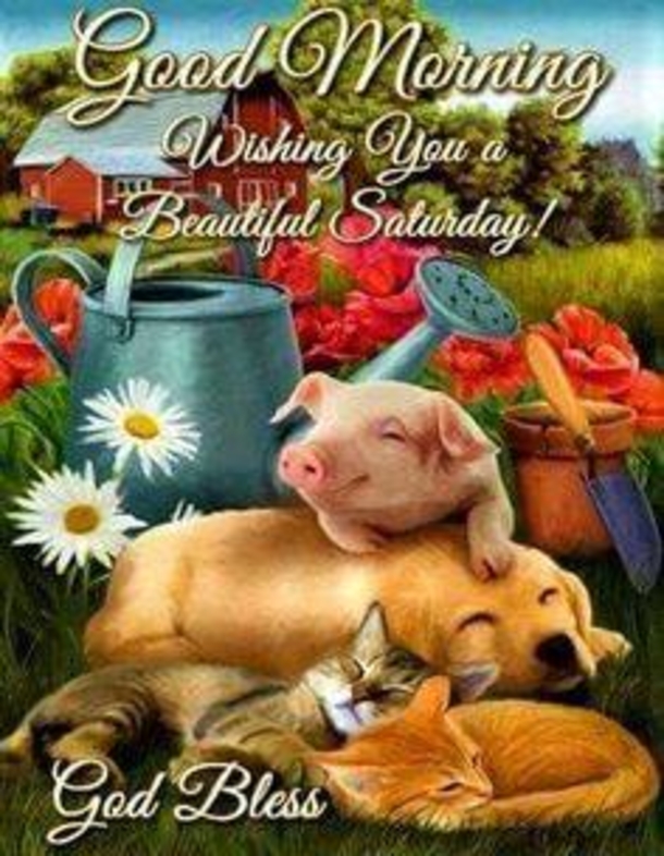 10 Saturday Quotes For 2023 To Make Your Weekend Exciting And Amazing - picture 11