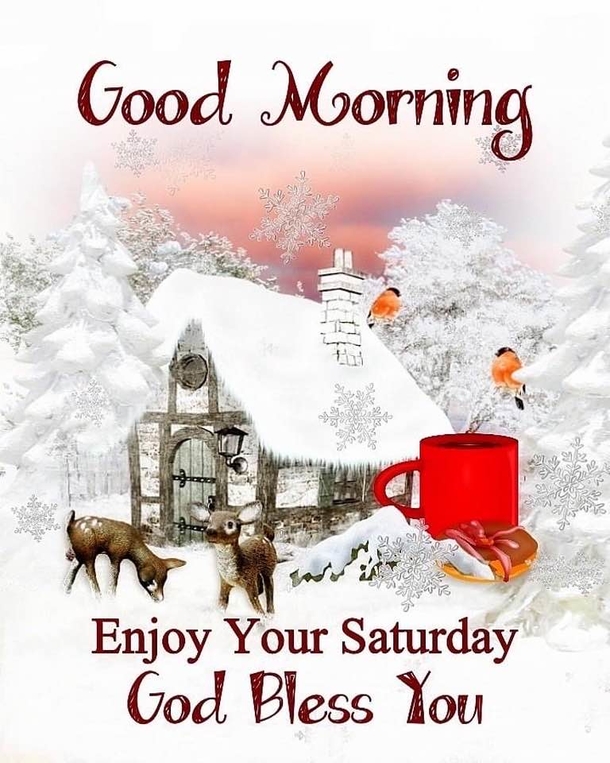 10 Saturday Quotes For 2023 To Make Your Weekend Exciting And Amazing - picture 3
