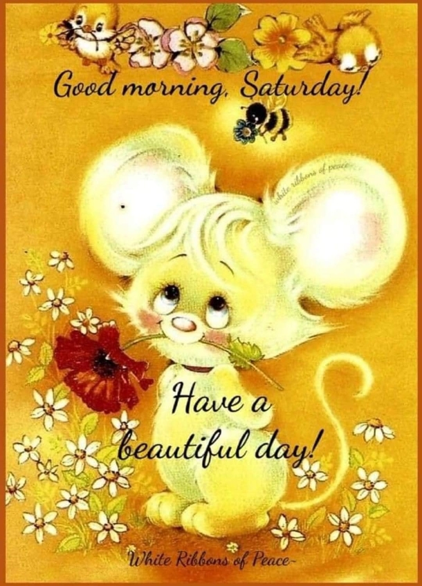 10 Saturday Quotes For 2023 To Make Your Weekend Exciting And Amazing - picture 4