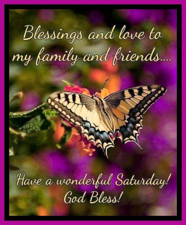 10 Saturday Quotes For 2023 To Make Your Weekend Exciting And Amazing - picture 5
