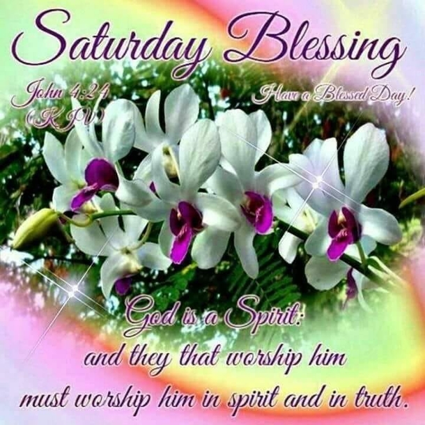10 Saturday Quotes For 2023 To Make Your Weekend Exciting And Amazing - picture 7