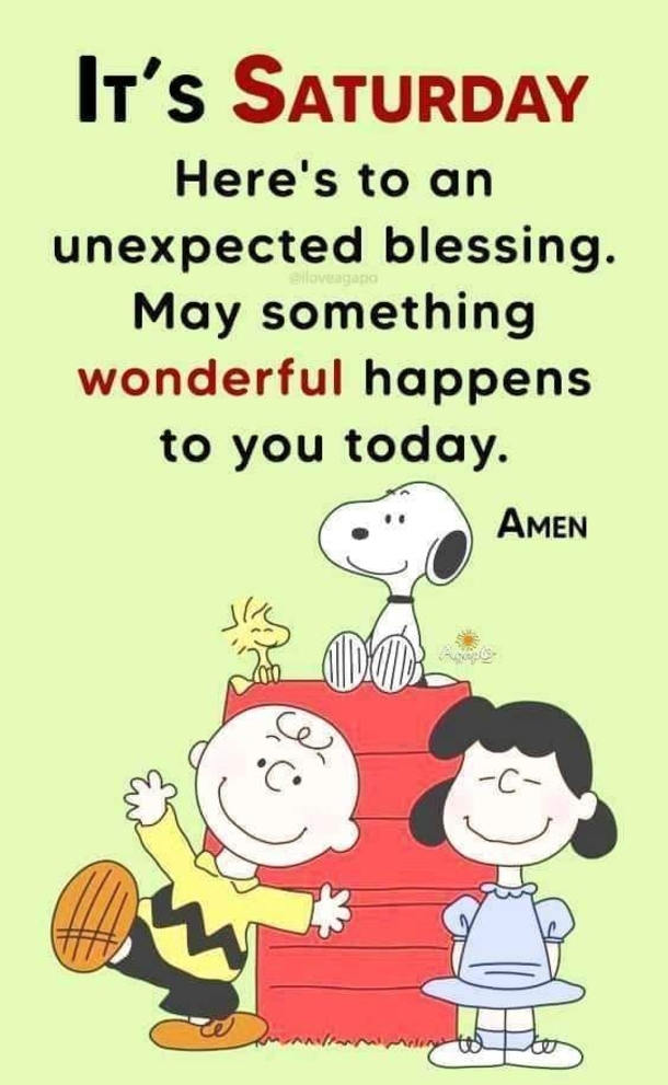 10 Saturday Quotes For 2023 To Make Your Weekend Exciting And Amazing - picture 9