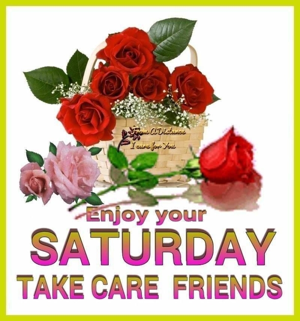 10 Saturday Quotes To Start A Fun Weekend! - picture 3
