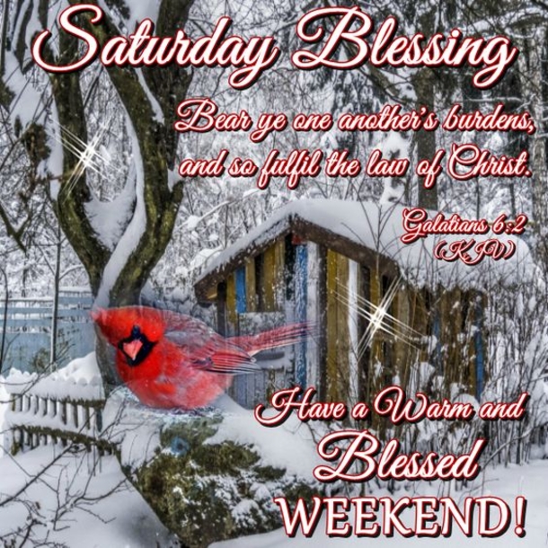 10+ Saturday Wishes And Blessings For The Day - picture 11