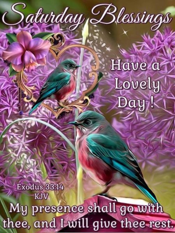 10+ Saturday Wishes And Blessings For The Day - picture 7