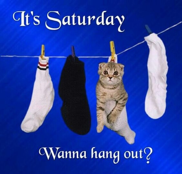10 Saturday Wishes For The Weekend - picture 11