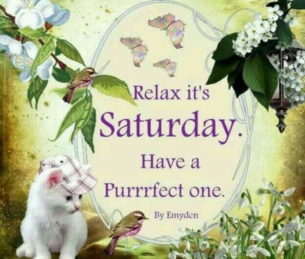 10 Saturday Wishes For The Weekend - picture 7
