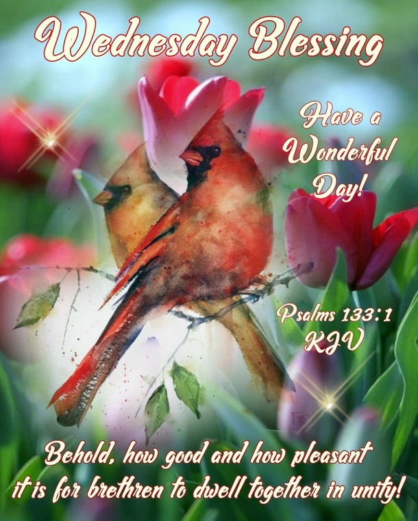 10 Scriptures & Quotes For A Blessed Wednesday - picture 10